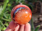 Polished Carnelian Agate Gemstone Spheres x 6 From Madagascar - Toprock Gemstones and Minerals 