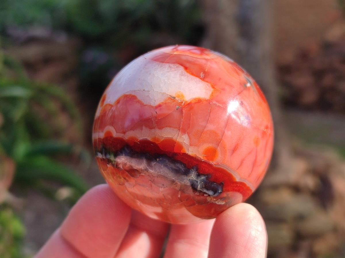 Polished Carnelian Agate Gemstone Spheres x 6 From Madagascar - Toprock Gemstones and Minerals 