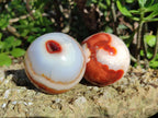 Polished Carnelian Agate Gemstone Spheres x 6 From Madagascar - Toprock Gemstones and Minerals 