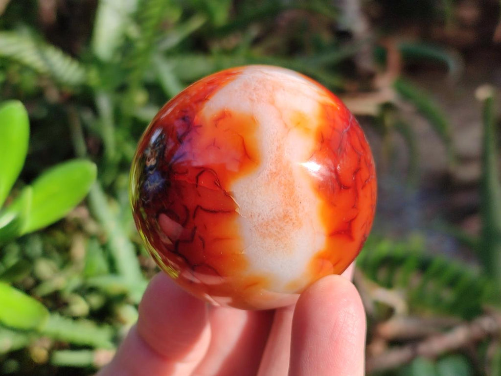 Polished Carnelian Agate Gemstone Spheres x 6 From Madagascar - Toprock Gemstones and Minerals 