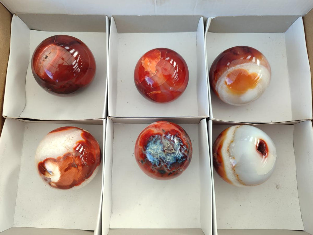 Polished Carnelian Agate Gemstone Spheres x 6 From Madagascar - Toprock Gemstones and Minerals 