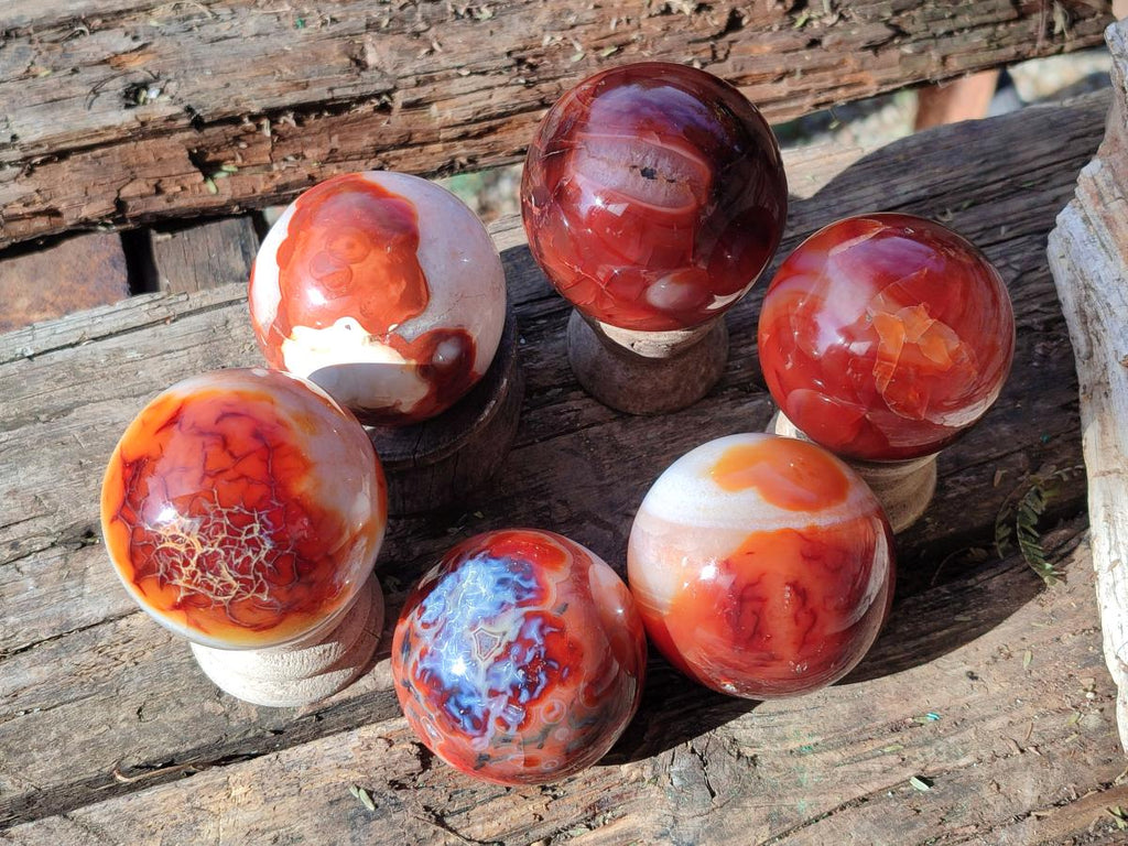 Polished Carnelian Agate Gemstone Spheres x 6 From Madagascar - Toprock Gemstones and Minerals 
