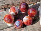 Polished Carnelian Agate Gemstone Spheres x 6 From Madagascar - Toprock Gemstones and Minerals 
