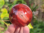 Polished Carnelian Agate Gemstone Spheres x 6 From Madagascar - Toprock Gemstones and Minerals 