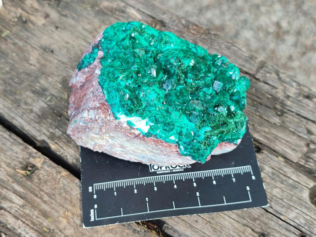 Natural Large Cabinet Size Dioptase on Dolomite Specimens x 2 From Likasi, Congo - Toprock Gemstones and Minerals 