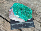 Natural Large Cabinet Size Dioptase on Dolomite Specimens x 2 From Likasi, Congo - Toprock Gemstones and Minerals 