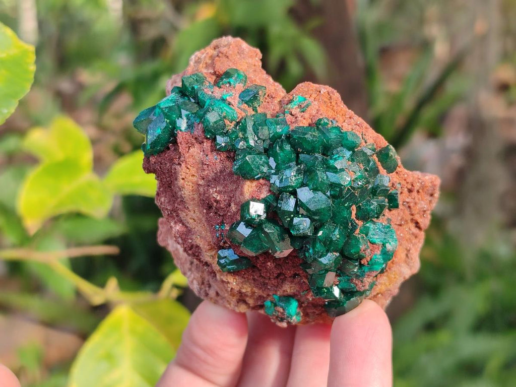 Natural Large Cabinet Size Dioptase on Dolomite Specimens x 2 From Likasi, Congo - Toprock Gemstones and Minerals 