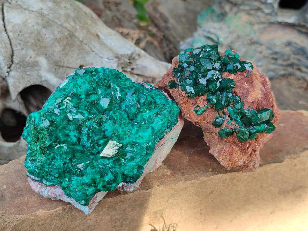 Natural Large Cabinet Size Dioptase on Dolomite Specimens x 2 From Likasi, Congo - Toprock Gemstones and Minerals 