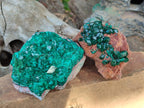 Natural Large Cabinet Size Dioptase on Dolomite Specimens x 2 From Likasi, Congo - Toprock Gemstones and Minerals 