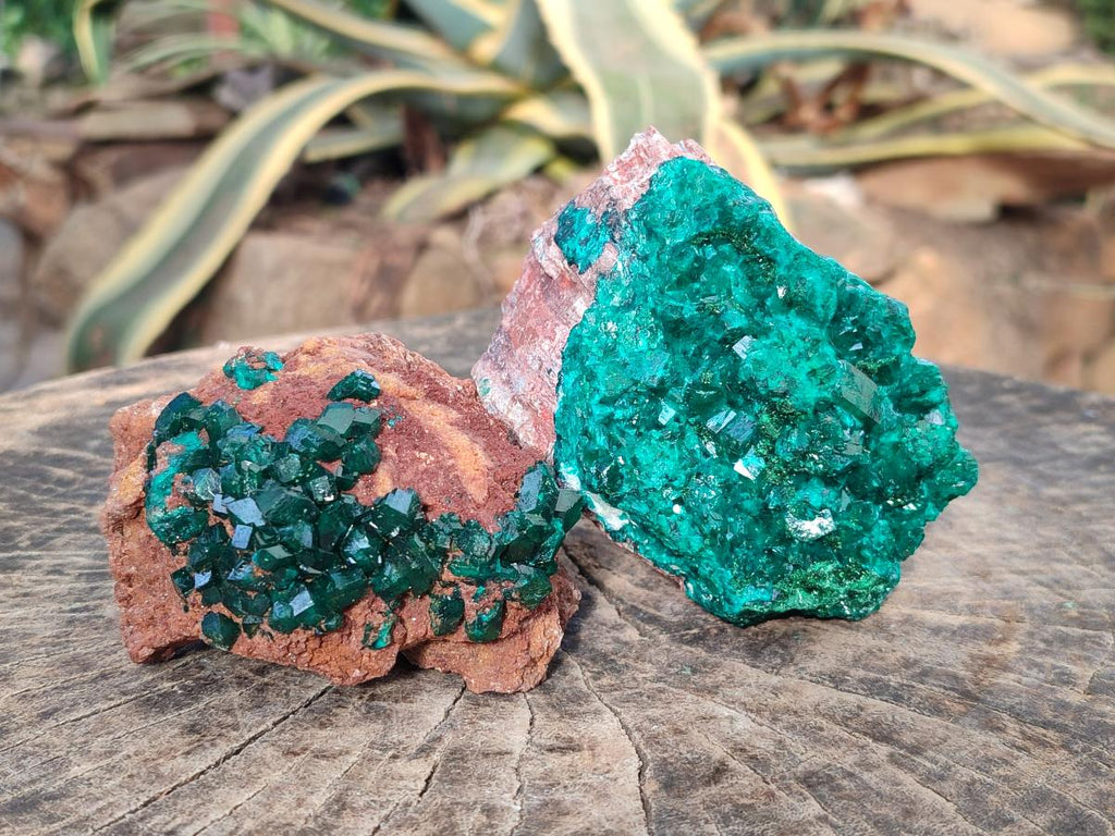Natural Large Cabinet Size Dioptase on Dolomite Specimens x 2 From Likasi, Congo - Toprock Gemstones and Minerals 