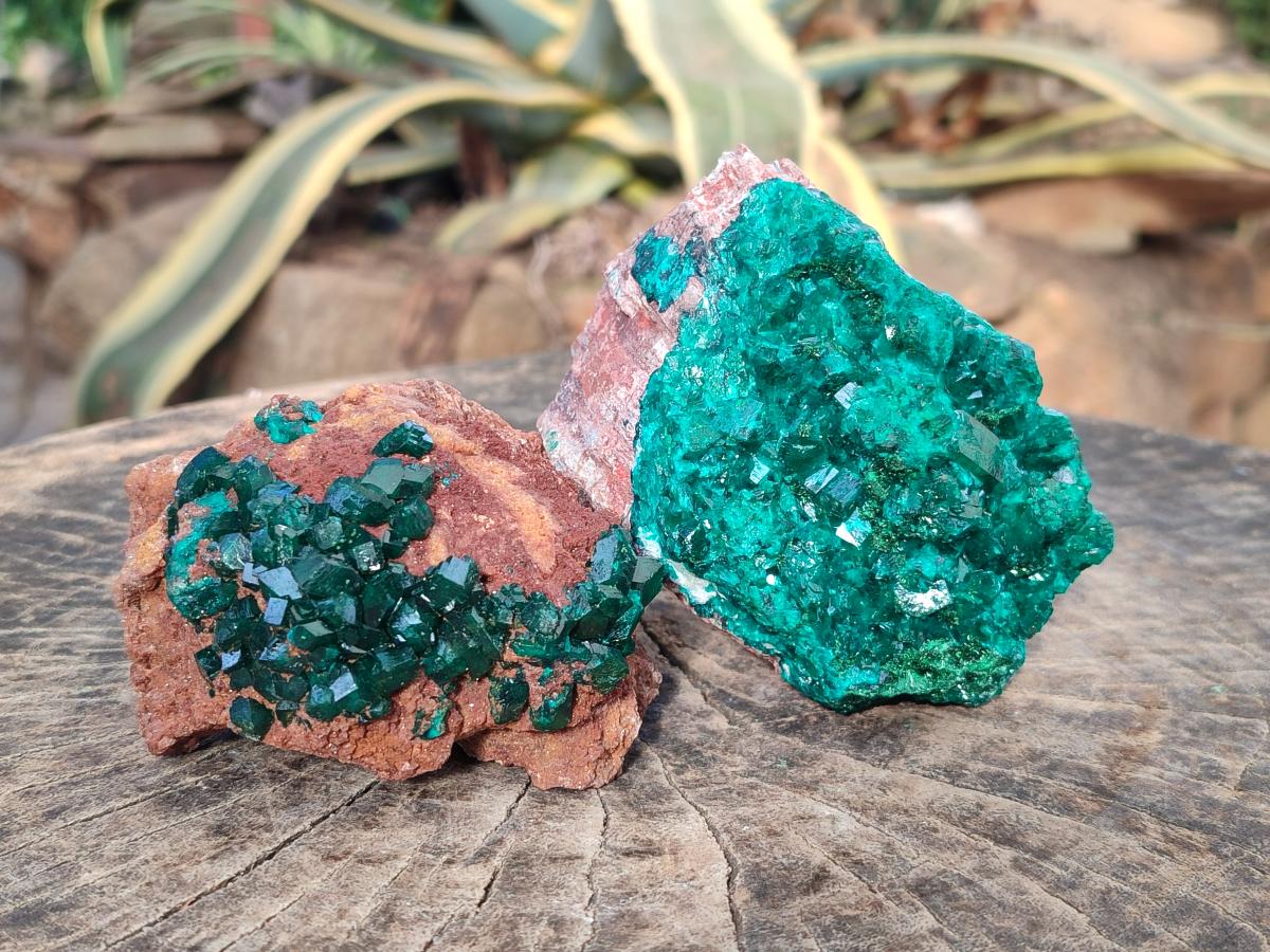 Natural Large Cabinet Size Dioptase on Dolomite Specimens x 2 From Likasi, Congo - Toprock Gemstones and Minerals 