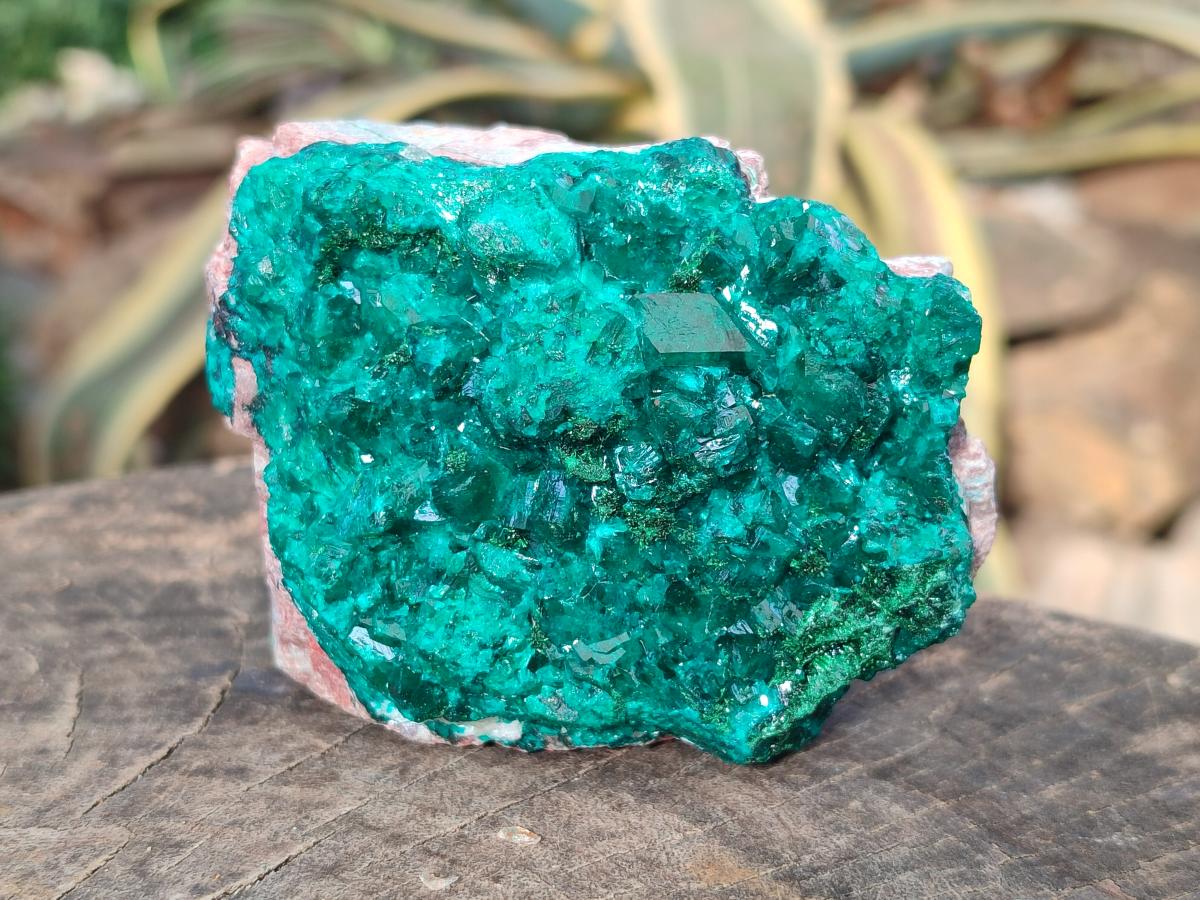 Natural Large Cabinet Size Dioptase on Dolomite Specimens x 2 From Likasi, Congo - Toprock Gemstones and Minerals 
