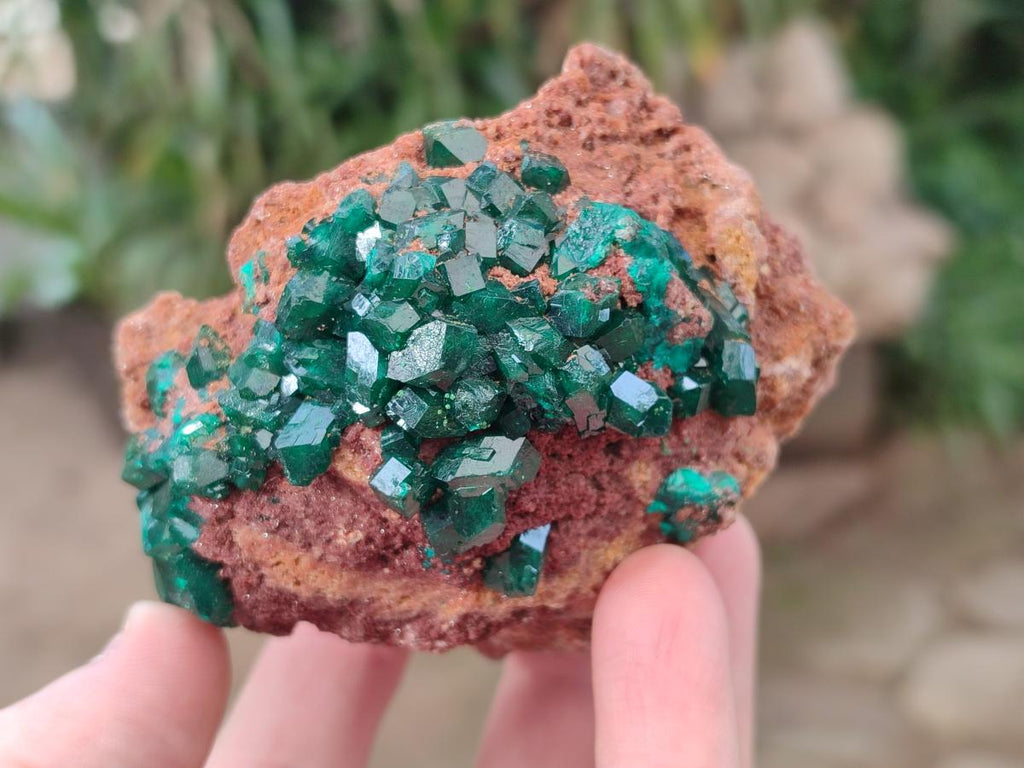 Natural Large Cabinet Size Dioptase on Dolomite Specimens x 2 From Likasi, Congo - Toprock Gemstones and Minerals 
