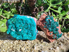 Natural Large Cabinet Size Dioptase on Dolomite Specimens x 2 From Likasi, Congo - Toprock Gemstones and Minerals 