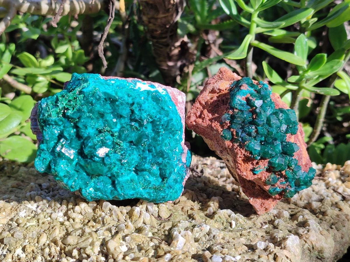 Natural Large Cabinet Size Dioptase on Dolomite Specimens x 2 From Likasi, Congo - Toprock Gemstones and Minerals 