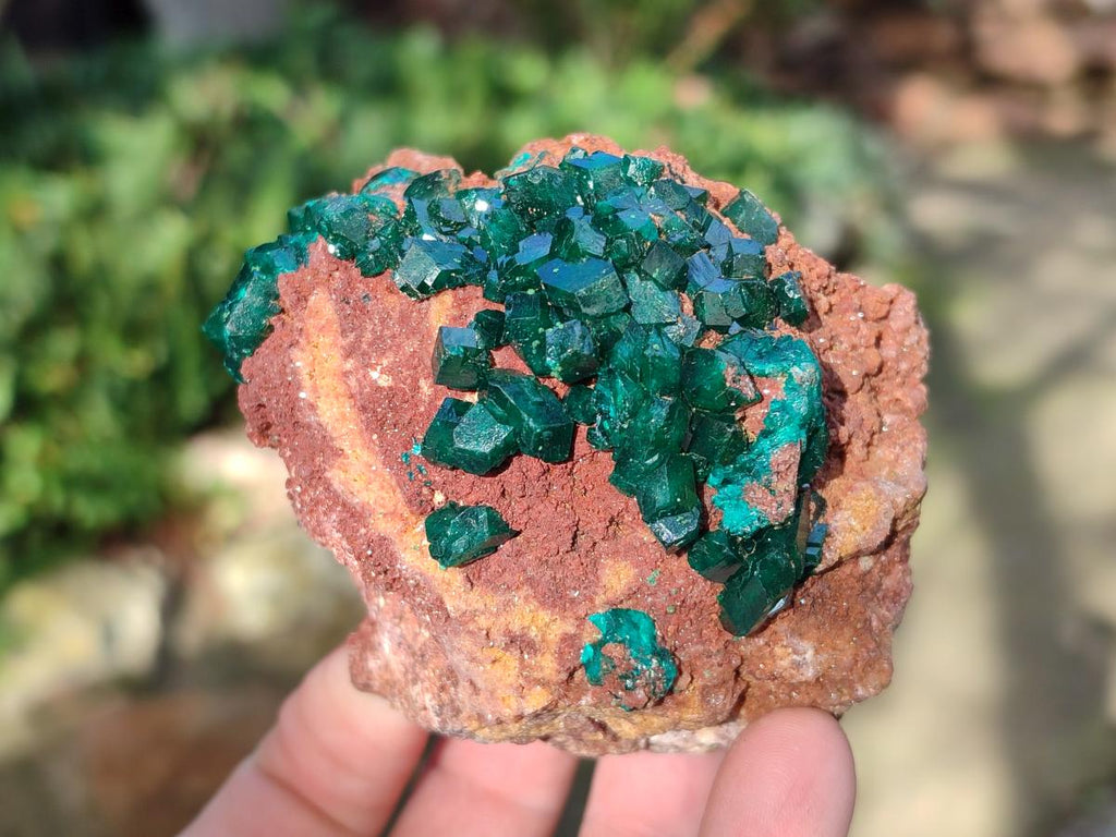 Natural Large Cabinet Size Dioptase on Dolomite Specimens x 2 From Likasi, Congo - Toprock Gemstones and Minerals 