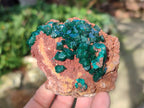 Natural Large Cabinet Size Dioptase on Dolomite Specimens x 2 From Likasi, Congo - Toprock Gemstones and Minerals 