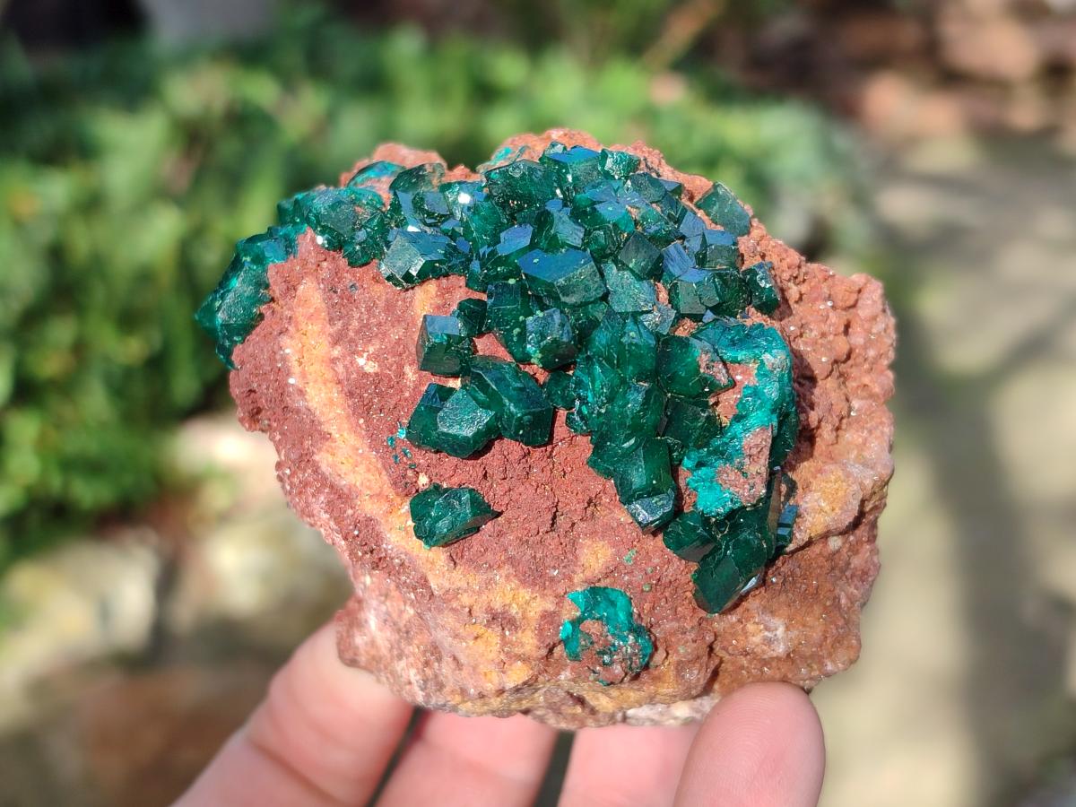 Natural Large Cabinet Size Dioptase on Dolomite Specimens x 2 From Likasi, Congo - Toprock Gemstones and Minerals 