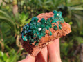 Natural Large Cabinet Size Dioptase on Dolomite Specimens x 2 From Likasi, Congo - Toprock Gemstones and Minerals 