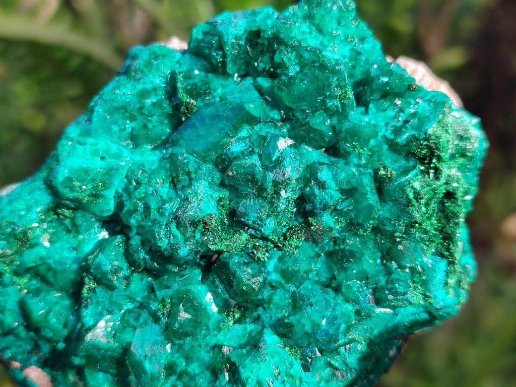 Natural Large Cabinet Size Dioptase on Dolomite Specimens x 2 From Likasi, Congo - Toprock Gemstones and Minerals 