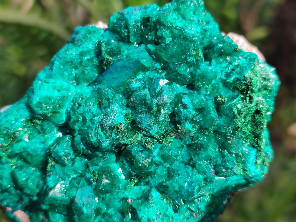 Natural Large Cabinet Size Dioptase on Dolomite Specimens x 2 From Likasi, Congo - Toprock Gemstones and Minerals 