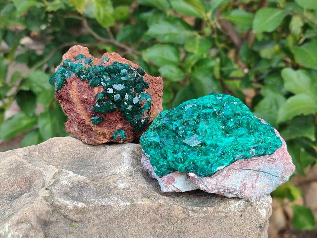 Natural Large Cabinet Size Dioptase on Dolomite Specimens x 2 From Likasi, Congo - Toprock Gemstones and Minerals 