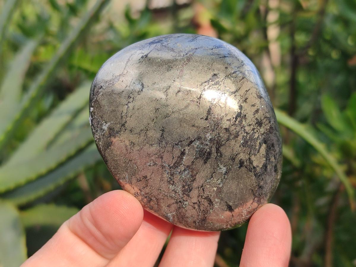 Polished Basalt Pharaoh Stone Galets x 6 From Iron Duke Mine, Zimbabwe - Toprock Gemstones and Minerals 