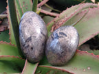Polished Basalt Pharaoh Stone Galets x 6 From Iron Duke Mine, Zimbabwe - Toprock Gemstones and Minerals 