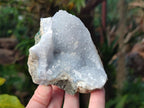 Natural Blue Lace Agate Geode Specimens x 6 From Nsanje, Malawi - Toprock Gemstones and Minerals 