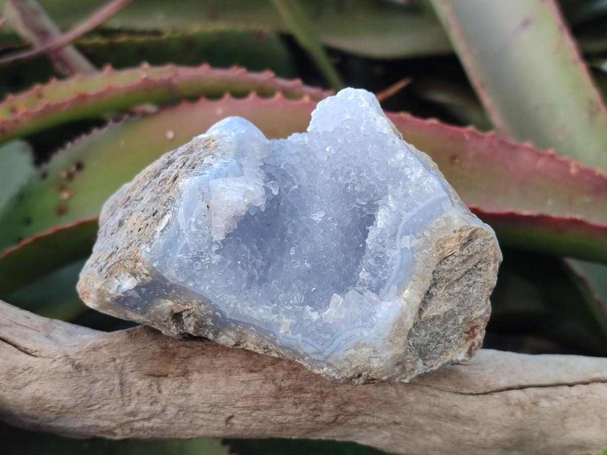 Natural Blue Lace Agate Geode Specimens x 6 From Nsanje, Malawi - Toprock Gemstones and Minerals 