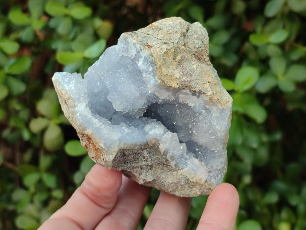 Natural Blue Lace Agate Geode Specimens x 6 From Nsanje, Malawi - Toprock Gemstones and Minerals 