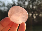 Polished Gemmy Rose Quartz Palm Stones x 24 From Madagascar - Toprock Gemstones and Minerals 