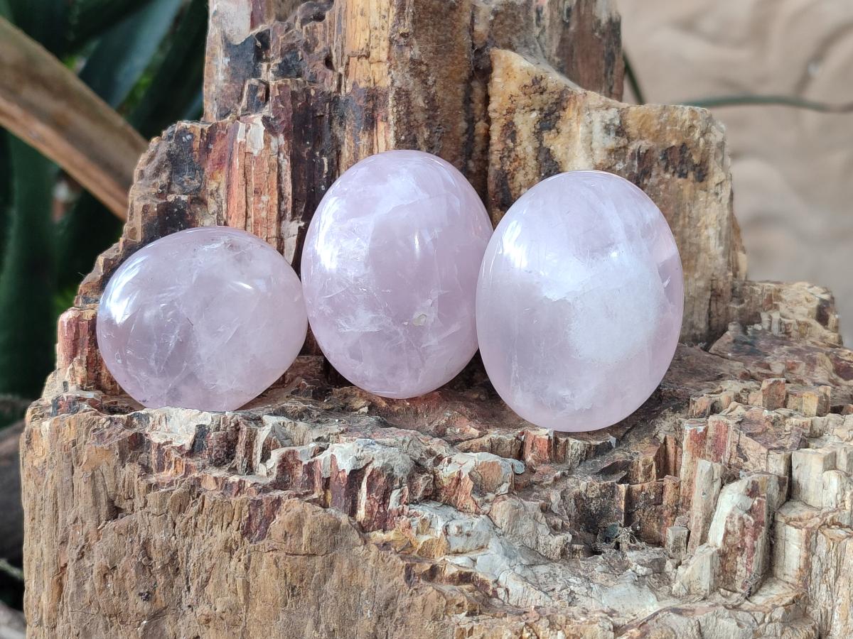 Polished Gemmy Rose Quartz Palm Stones x 24 From Madagascar - Toprock Gemstones and Minerals 
