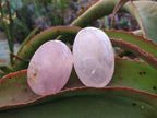 Polished Gemmy Rose Quartz Palm Stones x 24 From Madagascar - Toprock Gemstones and Minerals 