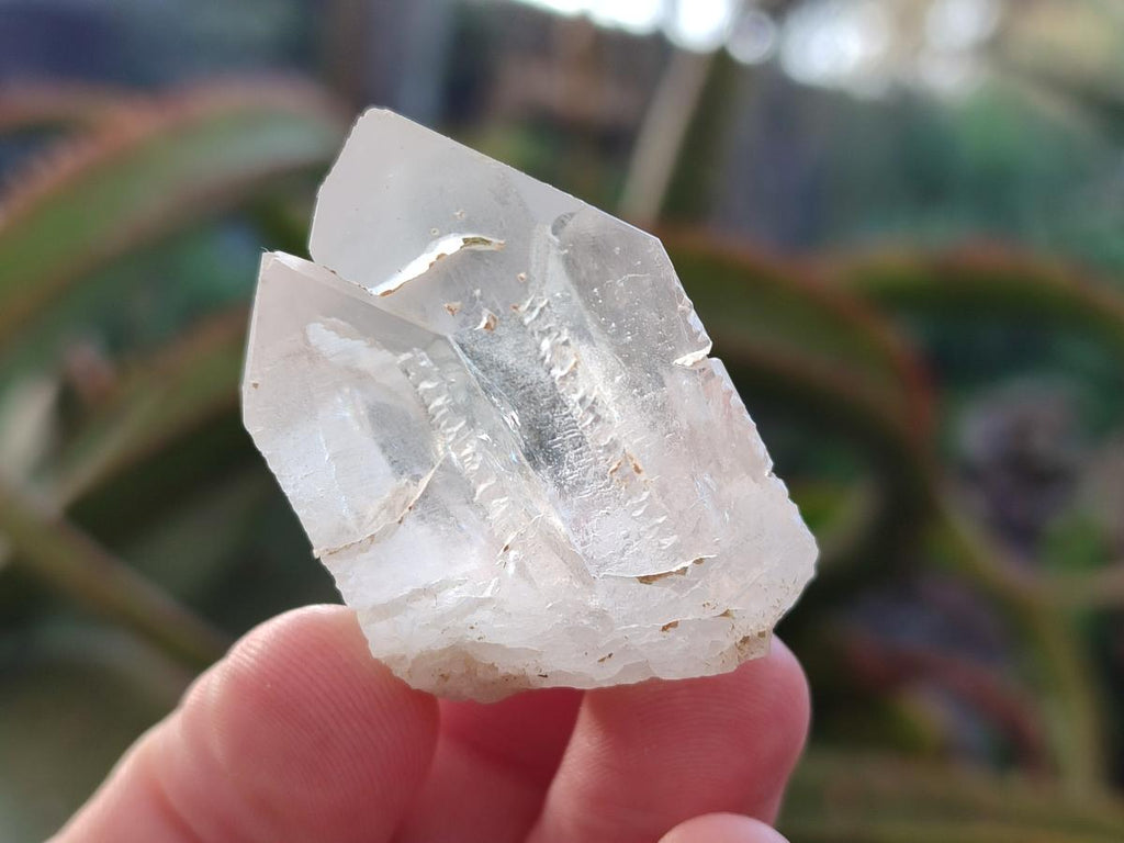 Natural Mpika Quarts Crystals x 35 From Mpika, Zambia - Toprock Gemstones and Minerals 