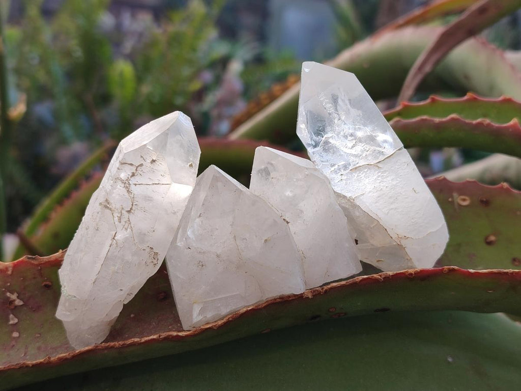 Natural Mpika Quarts Crystals x 35 From Mpika, Zambia - Toprock Gemstones and Minerals 