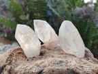 Natural Mpika Quarts Crystals x 35 From Mpika, Zambia - Toprock Gemstones and Minerals 