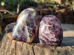 Polished Mix of Watermelon Fluorite Pieces x 12 From Uis, Namibia - Toprock Gemstones and Minerals 