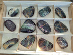Polished Mix of Watermelon Fluorite Pieces x 12 From Uis, Namibia - Toprock Gemstones and Minerals 