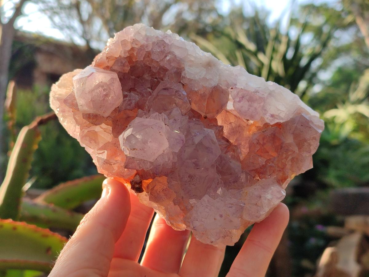 Natural Sunburst Spirit Amethyst Clusters x 2 From Boekenhouthoek, South Africa - Toprock Gemstones and Minerals 