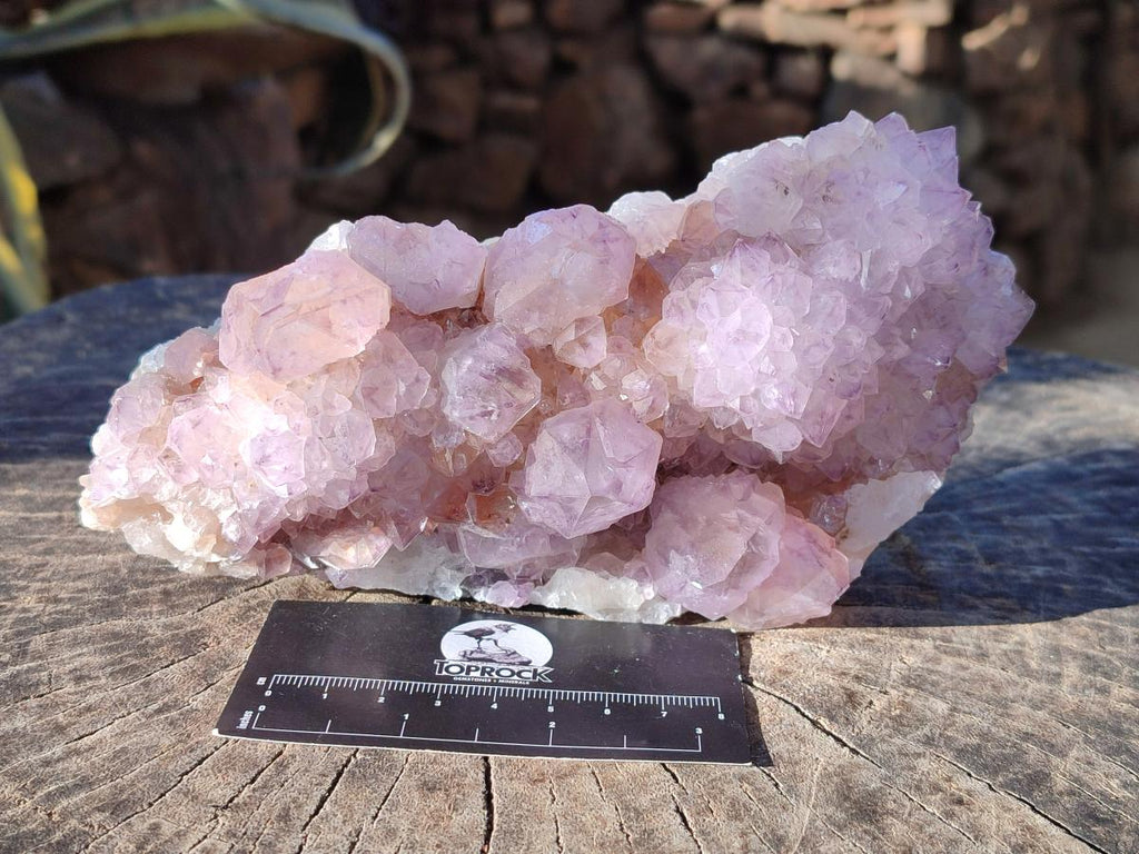 Natural Sunburst Spirit Amethyst Clusters x 2 From Boekenhouthoek, South Africa - Toprock Gemstones and Minerals 