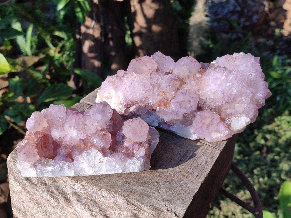 Natural Sunburst Spirit Amethyst Clusters x 2 From Boekenhouthoek, South Africa - Toprock Gemstones and Minerals 