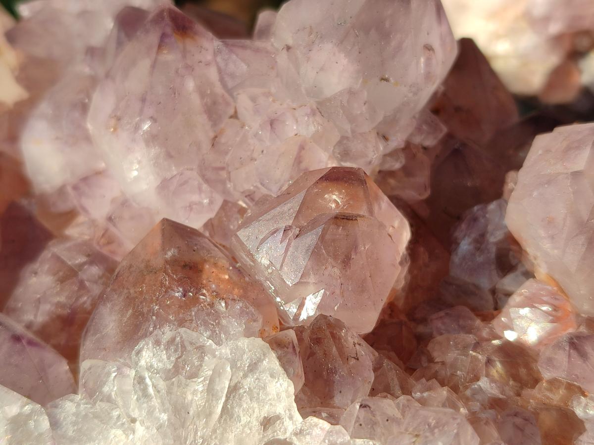Natural Sunburst Spirit Amethyst Clusters x 2 From Boekenhouthoek, South Africa - Toprock Gemstones and Minerals 