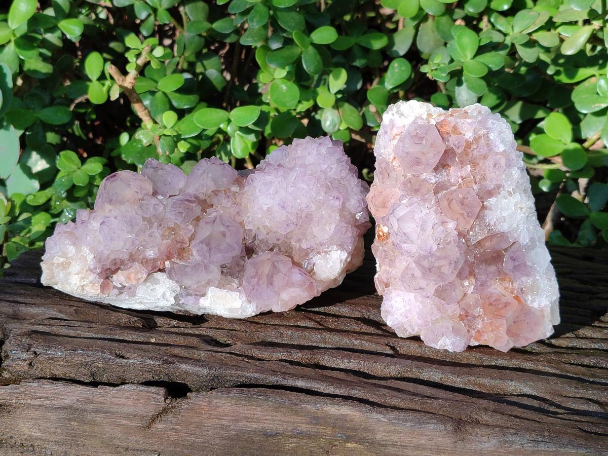 Natural Sunburst Spirit Amethyst Clusters x 2 From Boekenhouthoek, South Africa - Toprock Gemstones and Minerals 