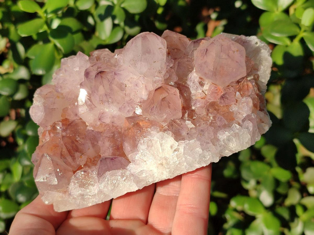 Natural Sunburst Spirit Amethyst Clusters x 2 From Boekenhouthoek, South Africa - Toprock Gemstones and Minerals 
