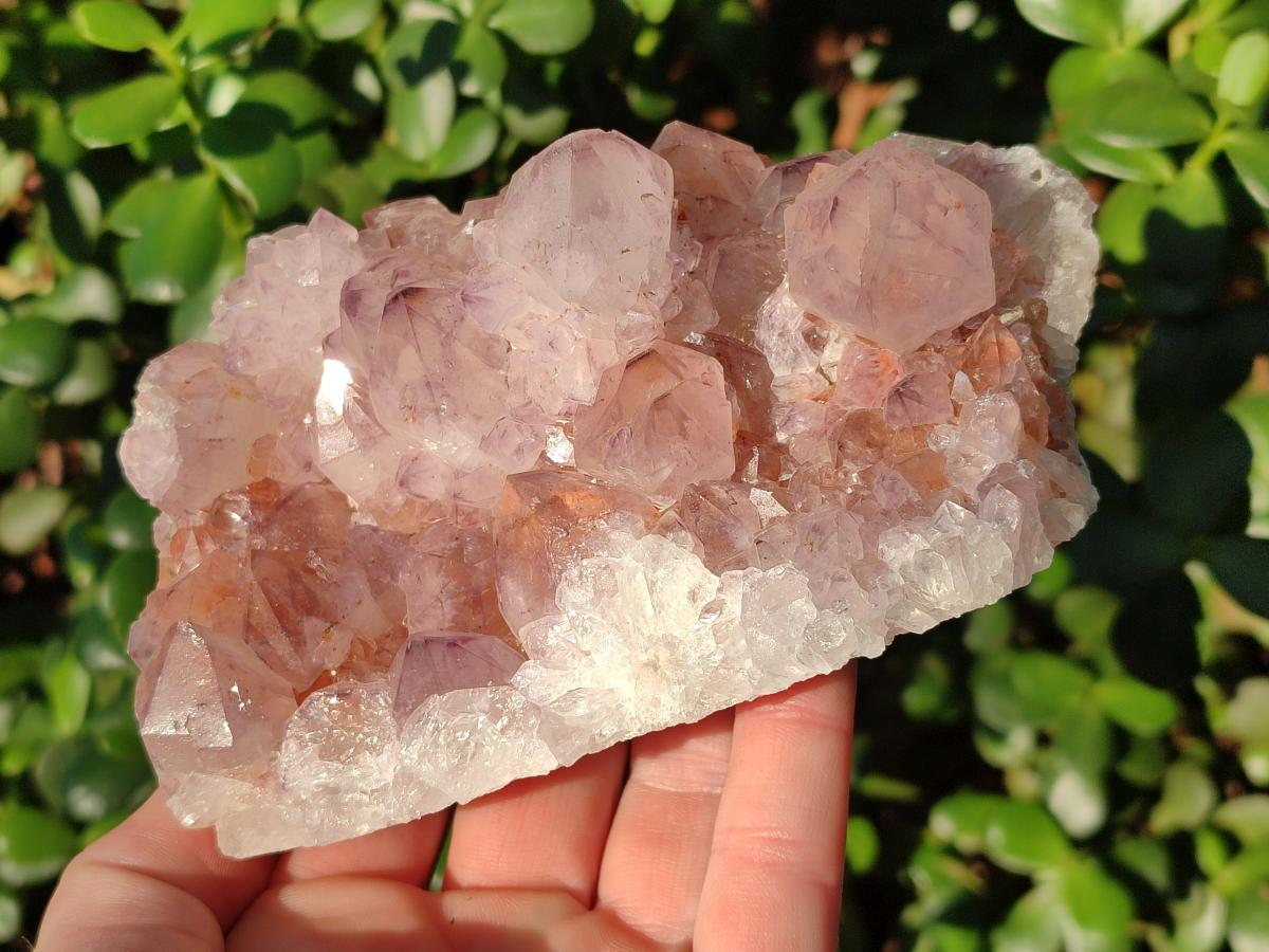 Natural Sunburst Spirit Amethyst Clusters x 2 From Boekenhouthoek, South Africa - Toprock Gemstones and Minerals 