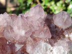 Natural Sunburst Spirit Amethyst Clusters x 2 From Boekenhouthoek, South Africa - Toprock Gemstones and Minerals 