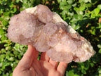 Natural Sunburst Spirit Amethyst Clusters x 2 From Boekenhouthoek, South Africa - Toprock Gemstones and Minerals 