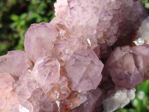 Natural Sunburst Spirit Amethyst Clusters x 2 From Boekenhouthoek, South Africa - Toprock Gemstones and Minerals 