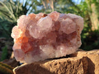 Natural Sunburst Spirit Amethyst Clusters x 2 From Boekenhouthoek, South Africa - Toprock Gemstones and Minerals 